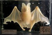 natural history museum londen 5-2018 5361